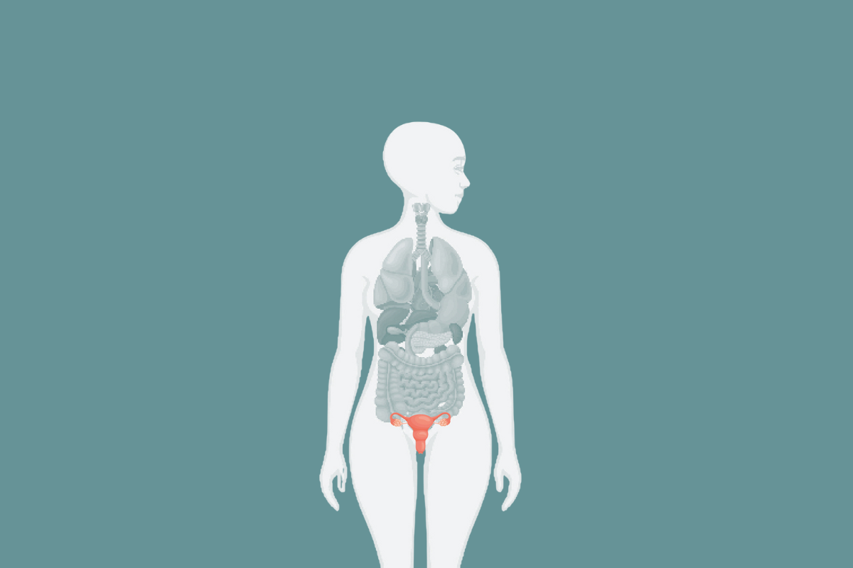 Livet Med Endometriose